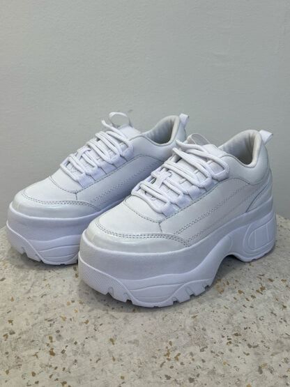 TENIS